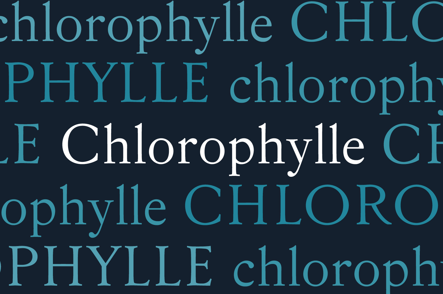 chlorophylle_caractère typographique