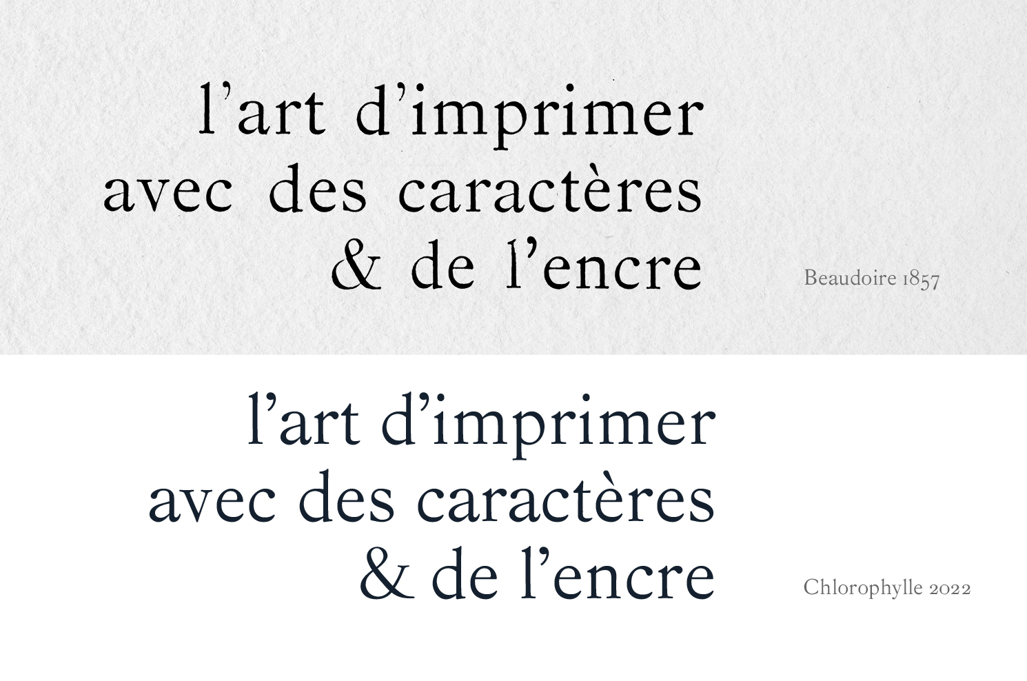 chlorophylle_caractère typographique